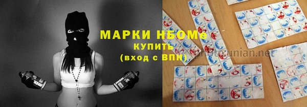 дмт Алзамай