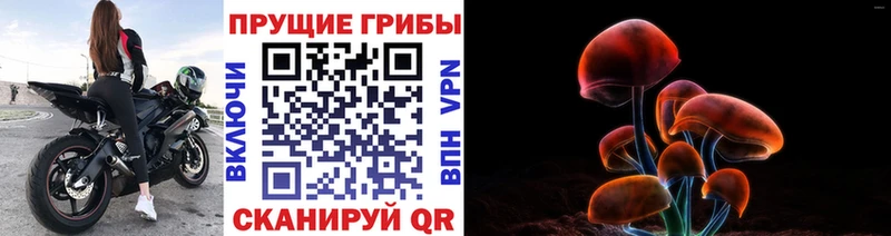 Галлюциногенные грибы GOLDEN TEACHER Усинск